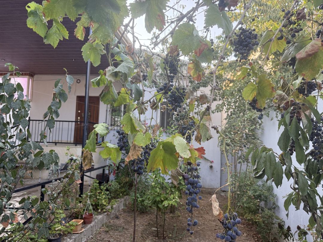 Həyət evi, 2.5 — Ev, villa, Bakı (2)