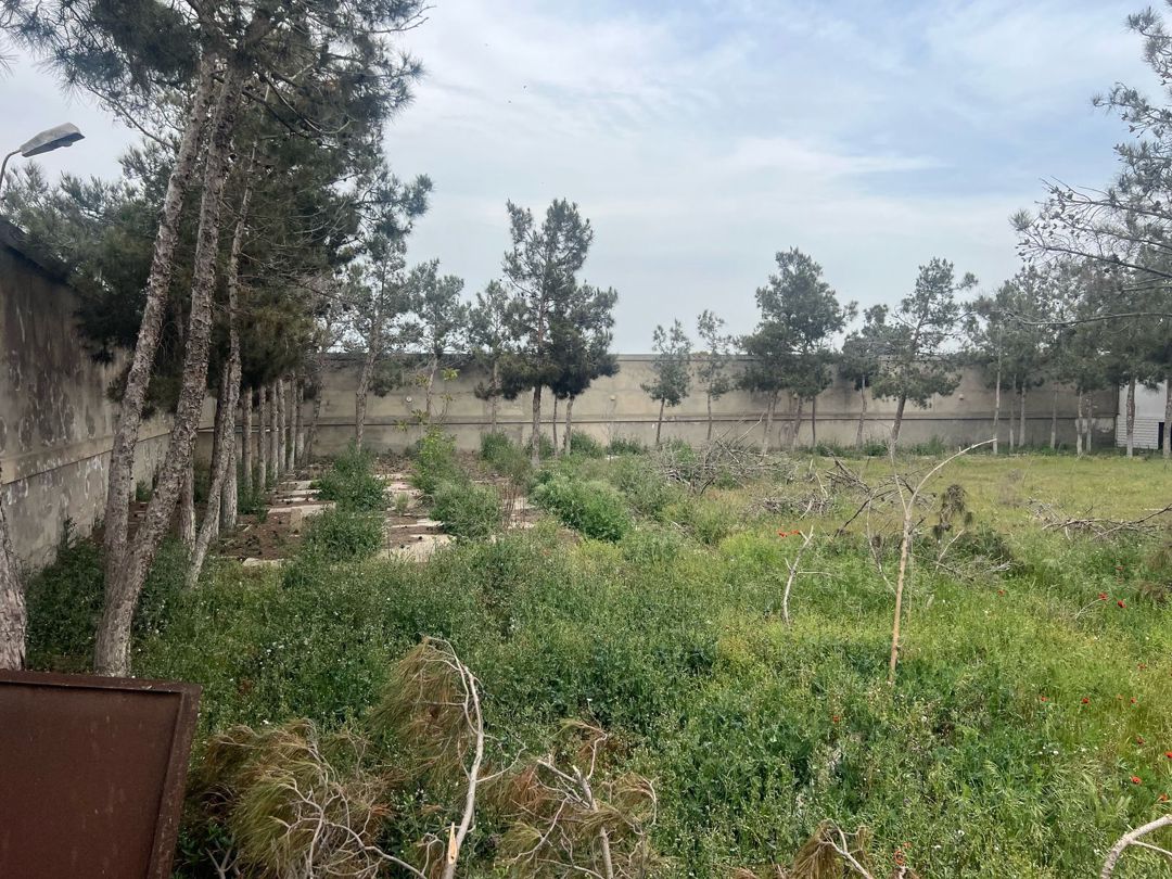 Satılır torpaq 20 sot — Torpaq, Bakı (7)