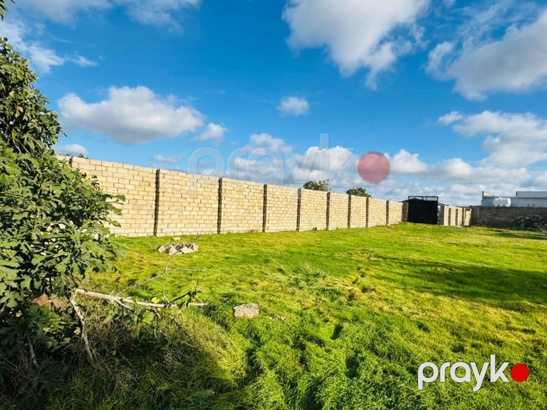 Satılır torpaq 11 sot — Torpaq, Bakı (2)