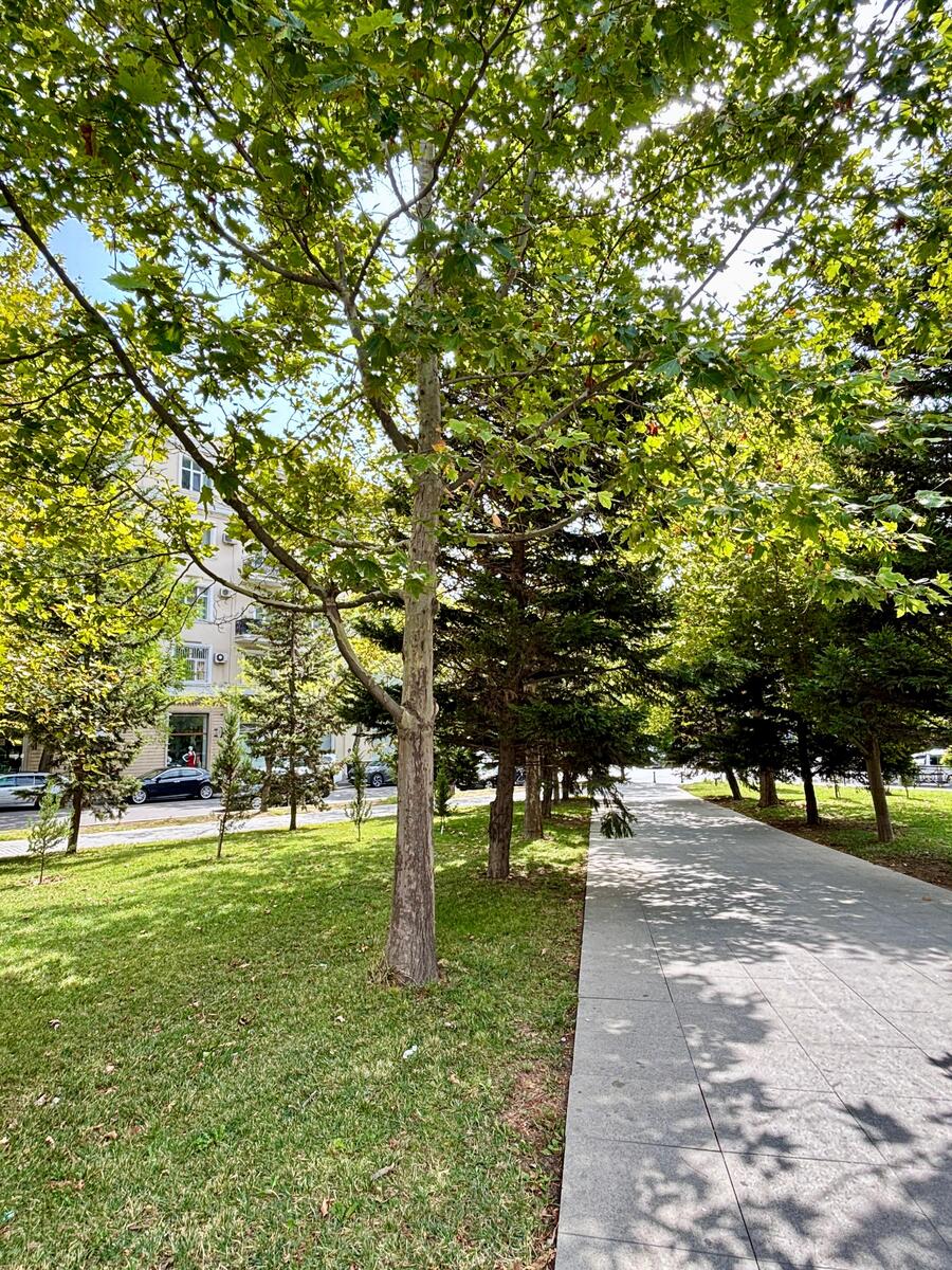 Satılır 3 otaqlı yeni tikili 85.7 m² — Mənzil, Bakı (3)
