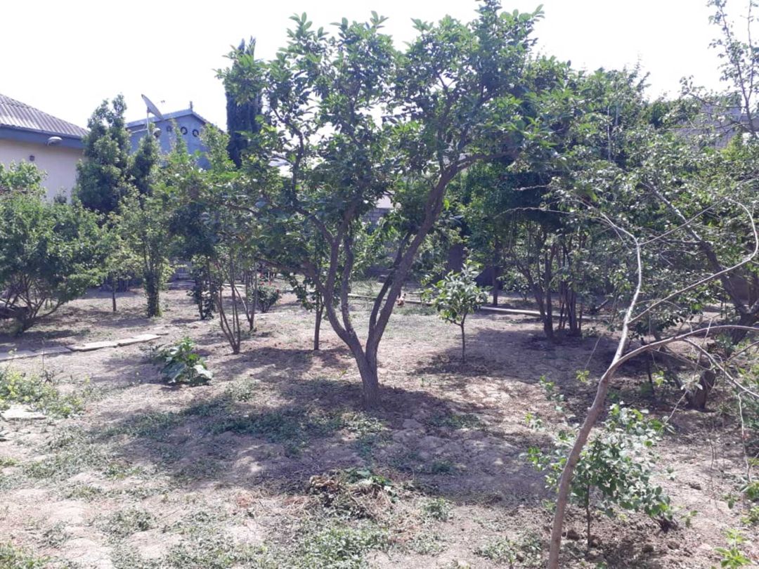 Satılır torpaq 4.3 sot — Torpaq, Bakı (3)