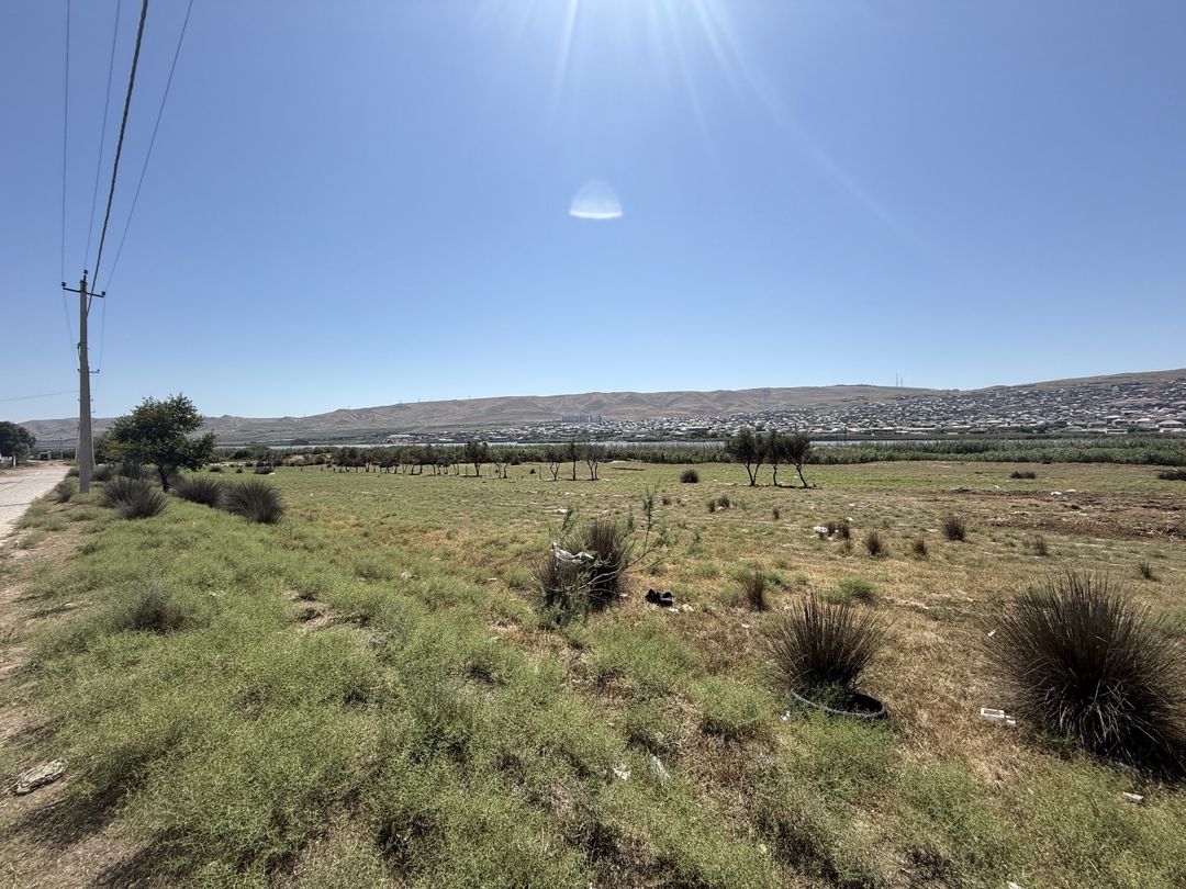 Satılır torpaq 200 sot — Torpaq, Bakı (3)