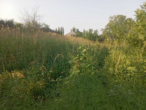 12 sot torpaq sahəsi, Tovuz r — Tovuz