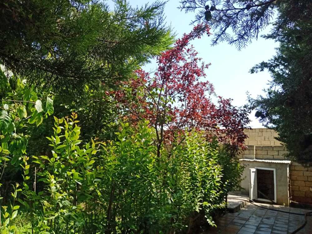 Satılır 7 otaqlı həyət evi/bağ evi 232 m² — Ev, villa, Xaçmaz (9)