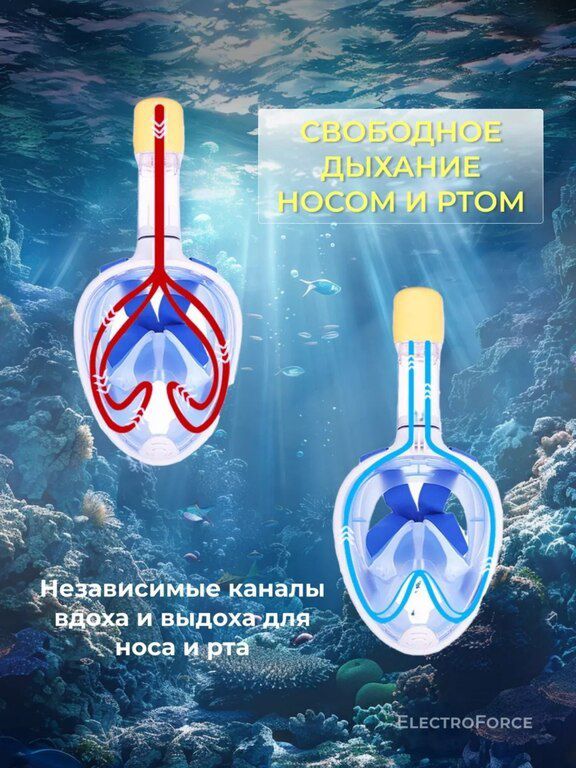 Snorkel — İdman, hobi, istirahət, Bakı (5)