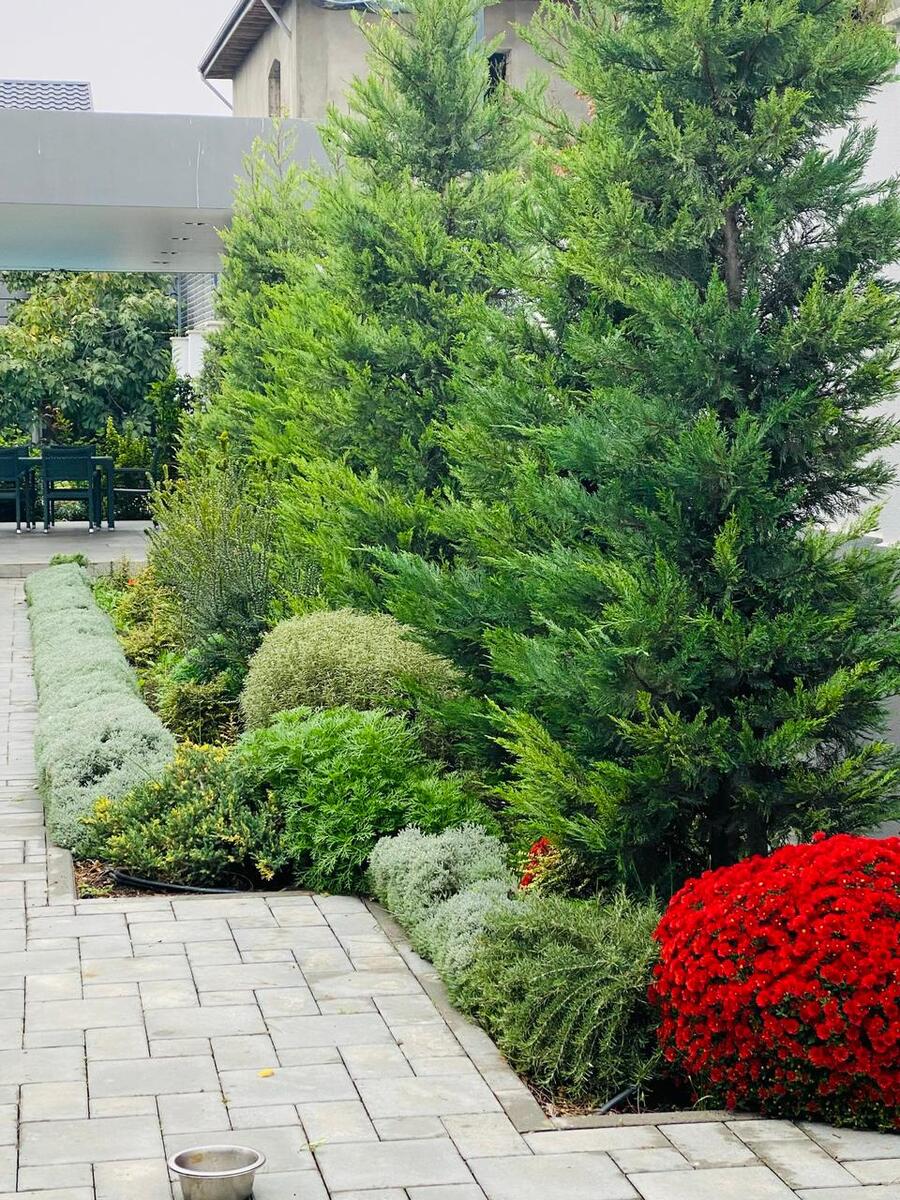 İcarəyə verilir 4 otaqlı həyət evi/bağ evi 120 m² — Ev, villa, Bakı (7)