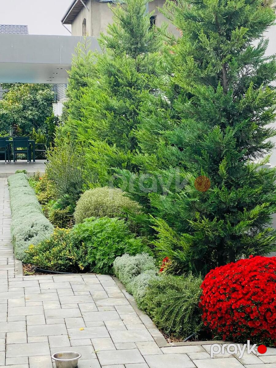 İcarəyə verilir 4 otaqlı həyət evi/bağ evi 120 m² — Ev, villa, Bakı (7)