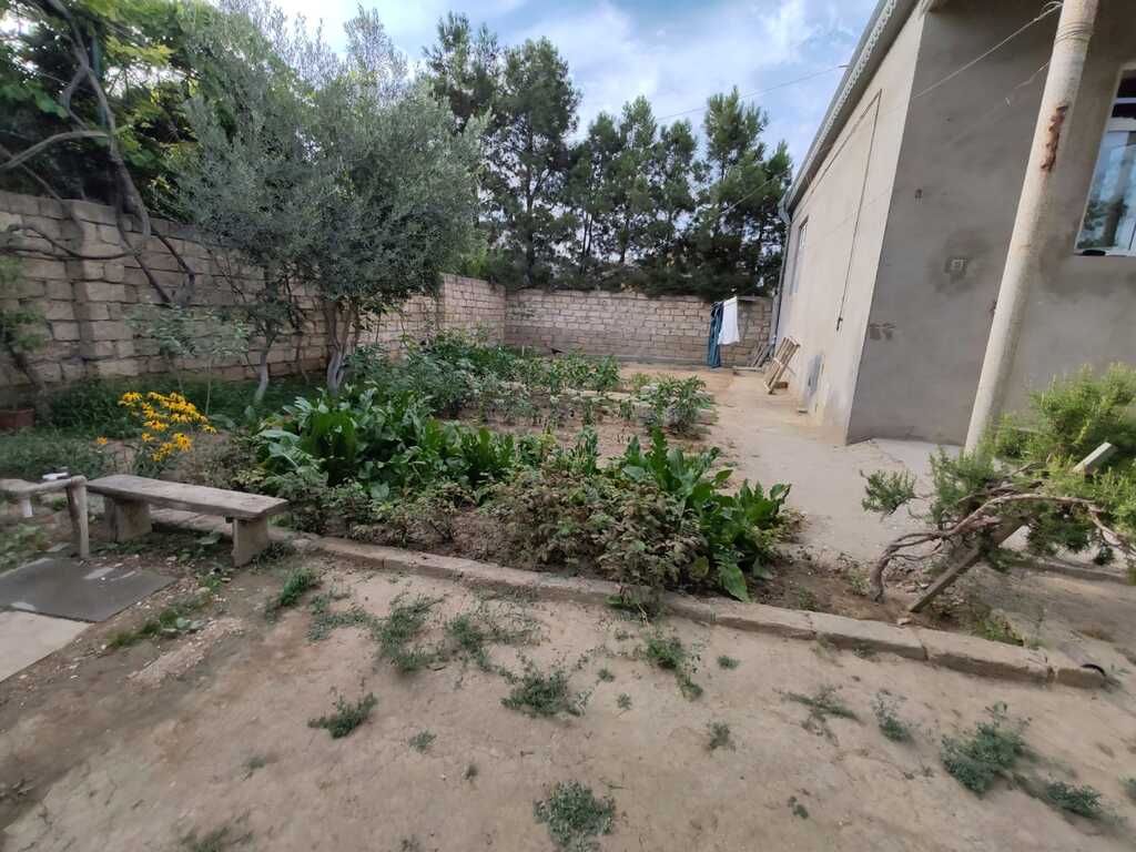 Həyət evi, Buzovna qəs — Ev, villa, Bakı (7)