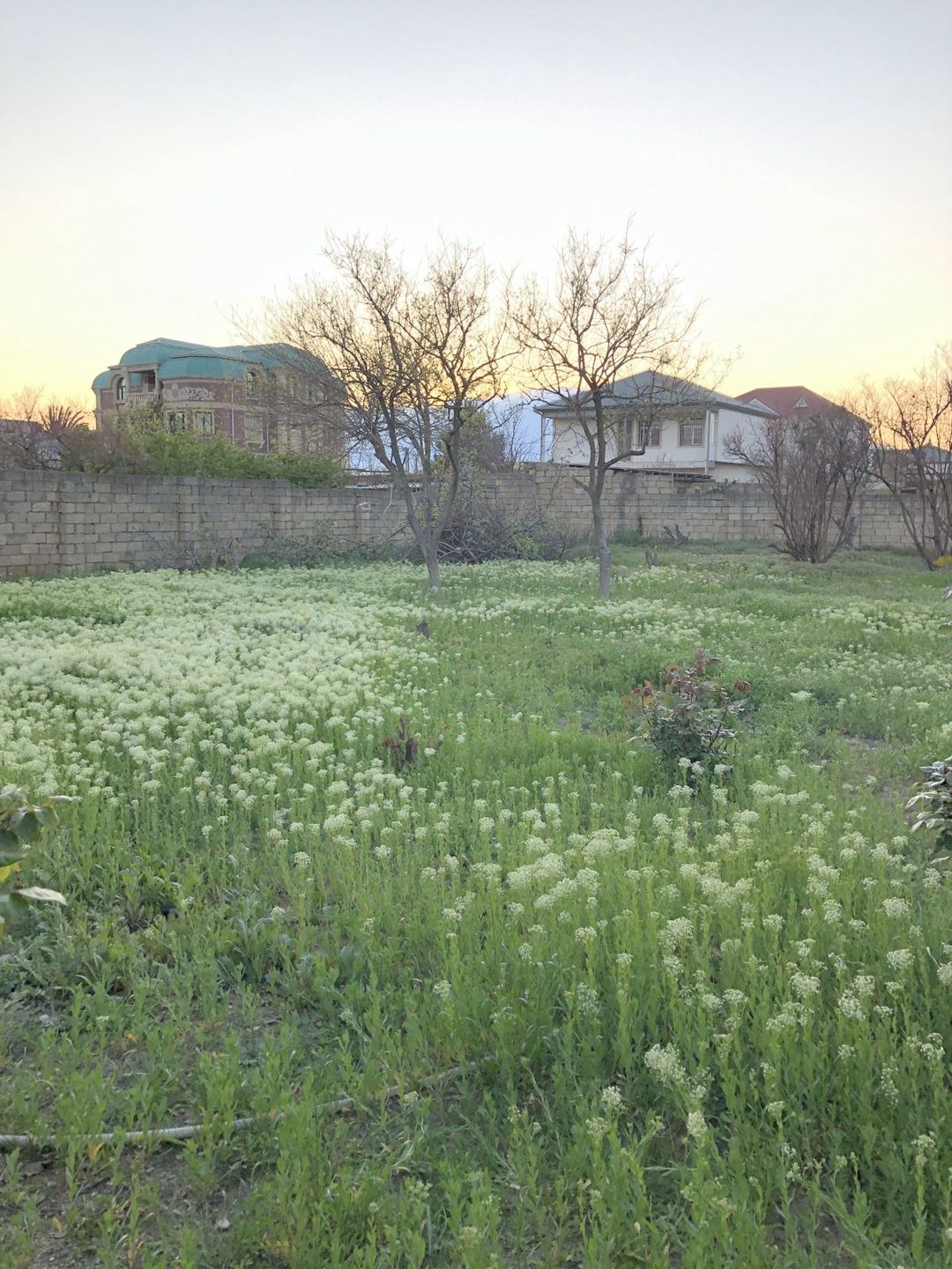 Satılır torpaq 5 sot — Torpaq, Bakı (11)