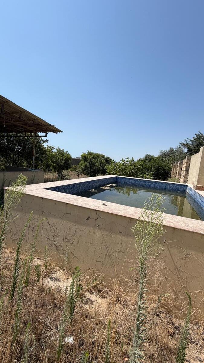Satılır torpaq 20 sot — Torpaq, Bakı (5)