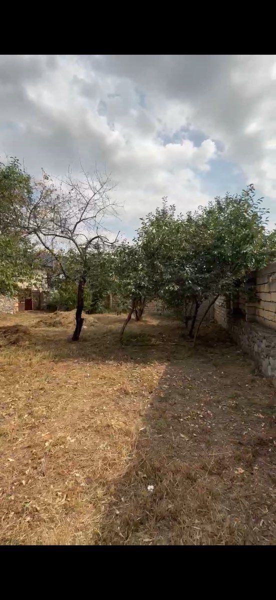 4 sot torpaq sahəsi, Şəki r — Torpaq, Şəki (2)