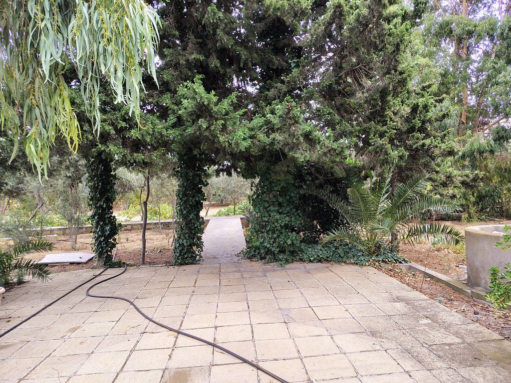 Satılır torpaq 44 sot — Torpaq, Bakı (12)