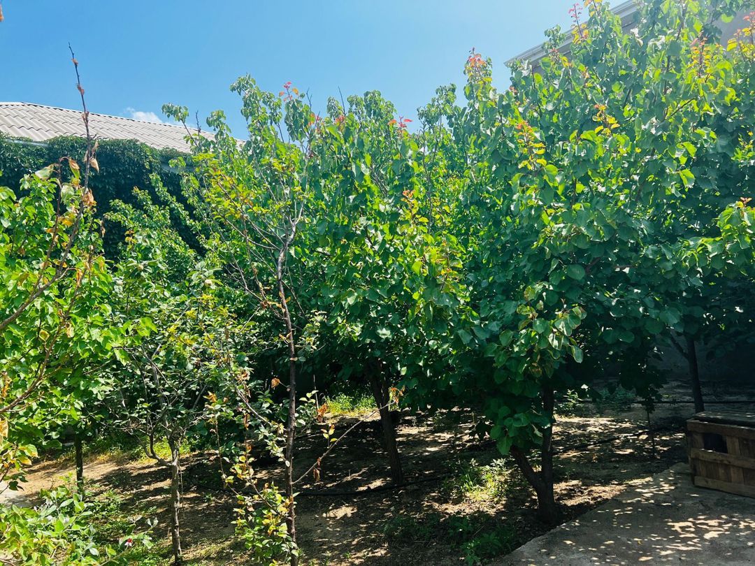 Satılır 8 otaqlı həyət evi/bağ evi 200 m² — Ev, villa, Bakı (8)