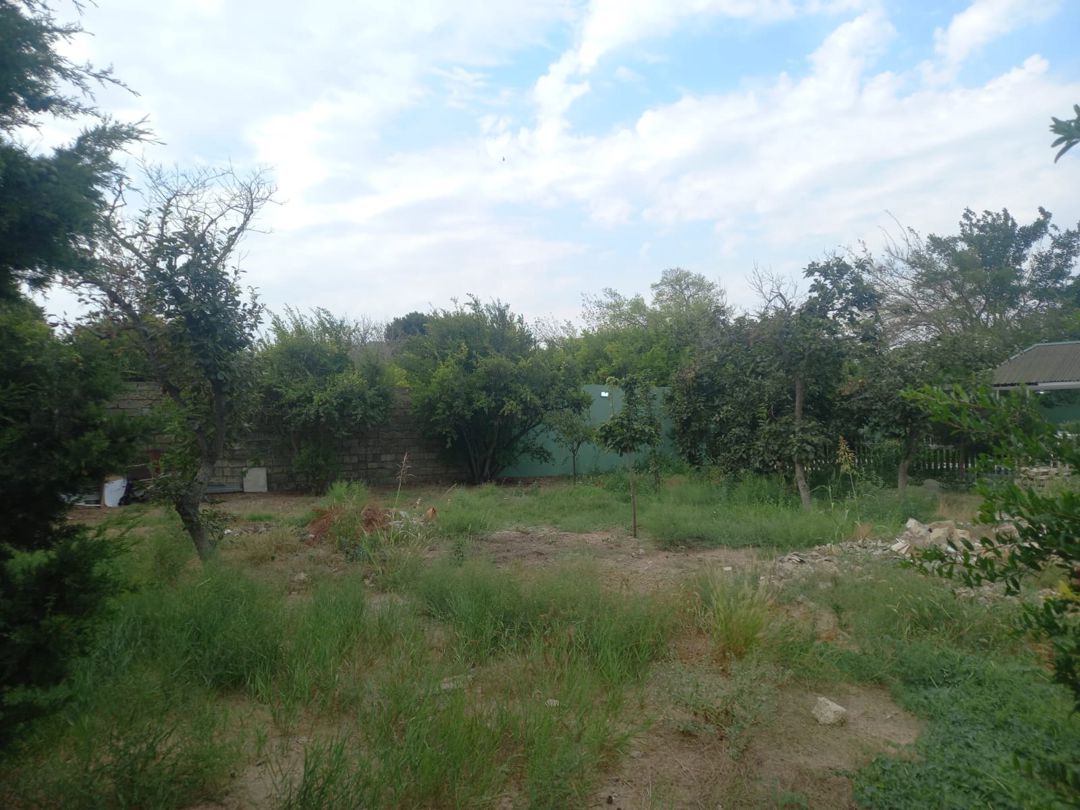 6 sot torpaq sahəsi, Görədil qəs — Torpaq, Bakı (3)