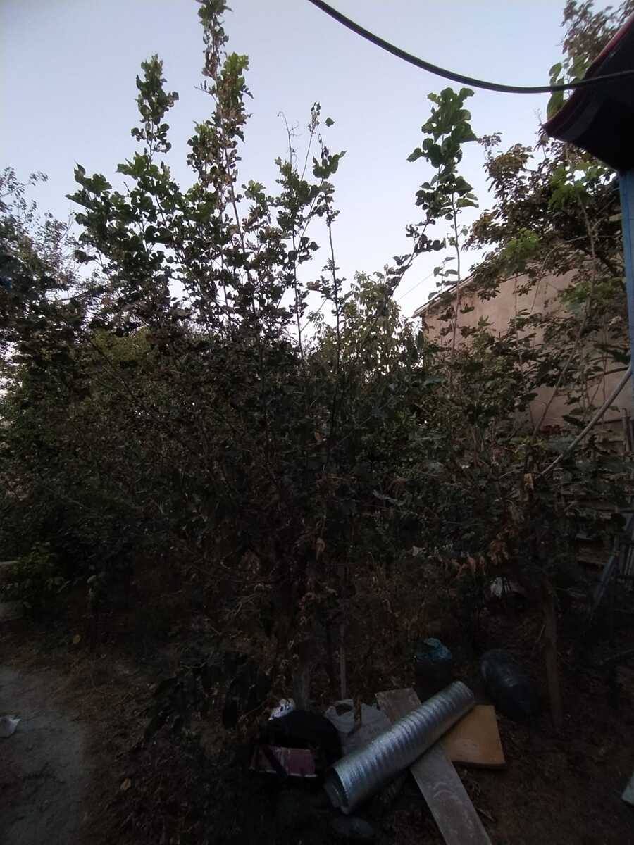 Satılır 5 otaqlı həyət evi/bağ evi 200 m² — Ev, villa, Xırdalan (8)