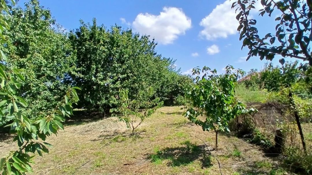 10 sot torpaq sahəsi, Quba r — Torpaq, Quba (5)