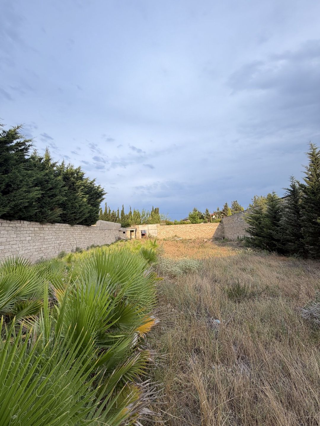 Satılır torpaq 7 sot — Torpaq, Bakı (9)