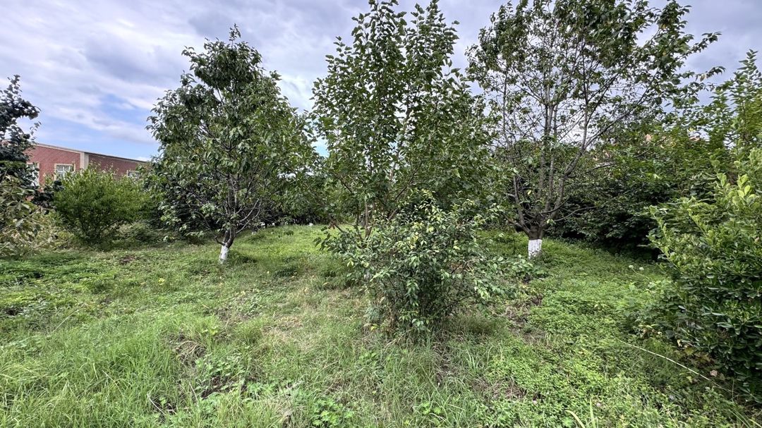 Satılır 4 otaqlı həyət evi/bağ evi 120 m² — Ev, villa, Quba (4)