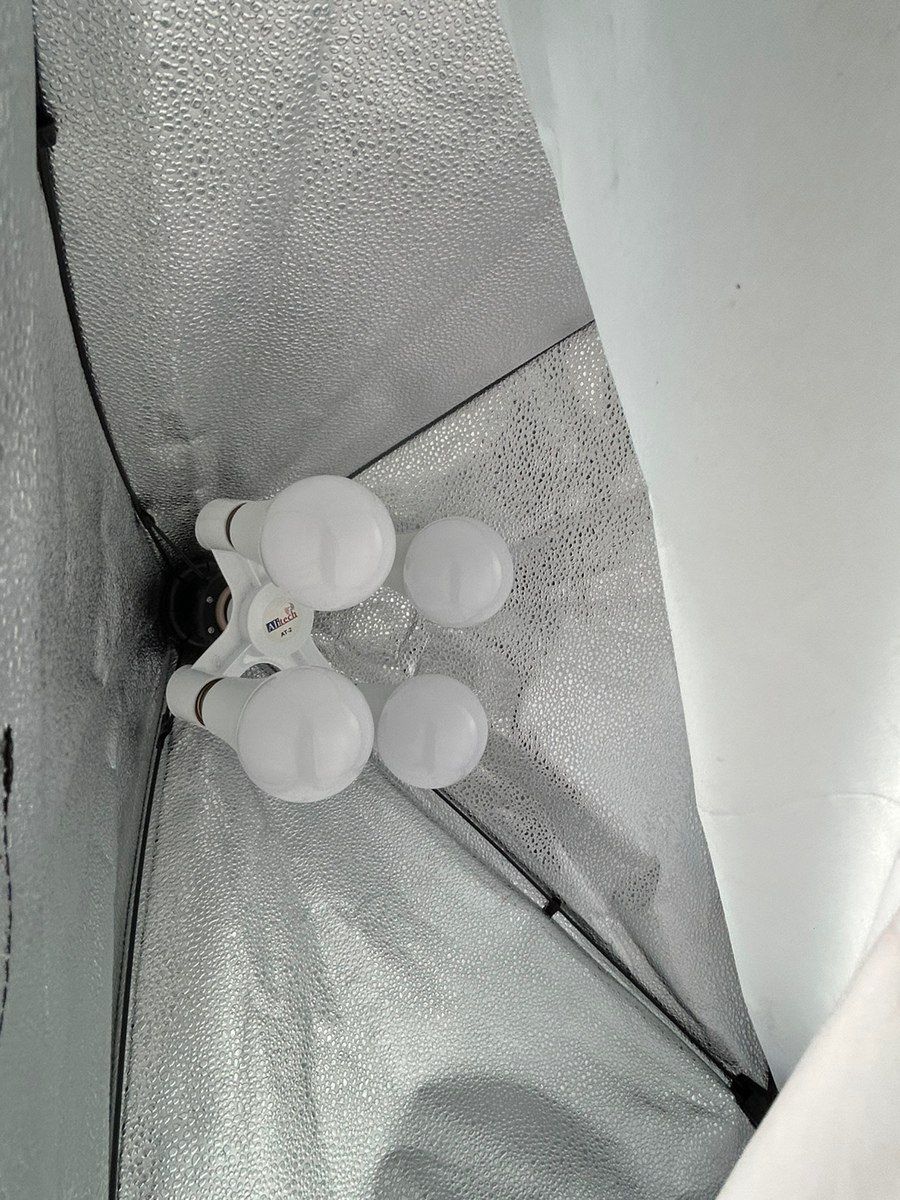 Soft işıq — Elektronika, Bakı (4)