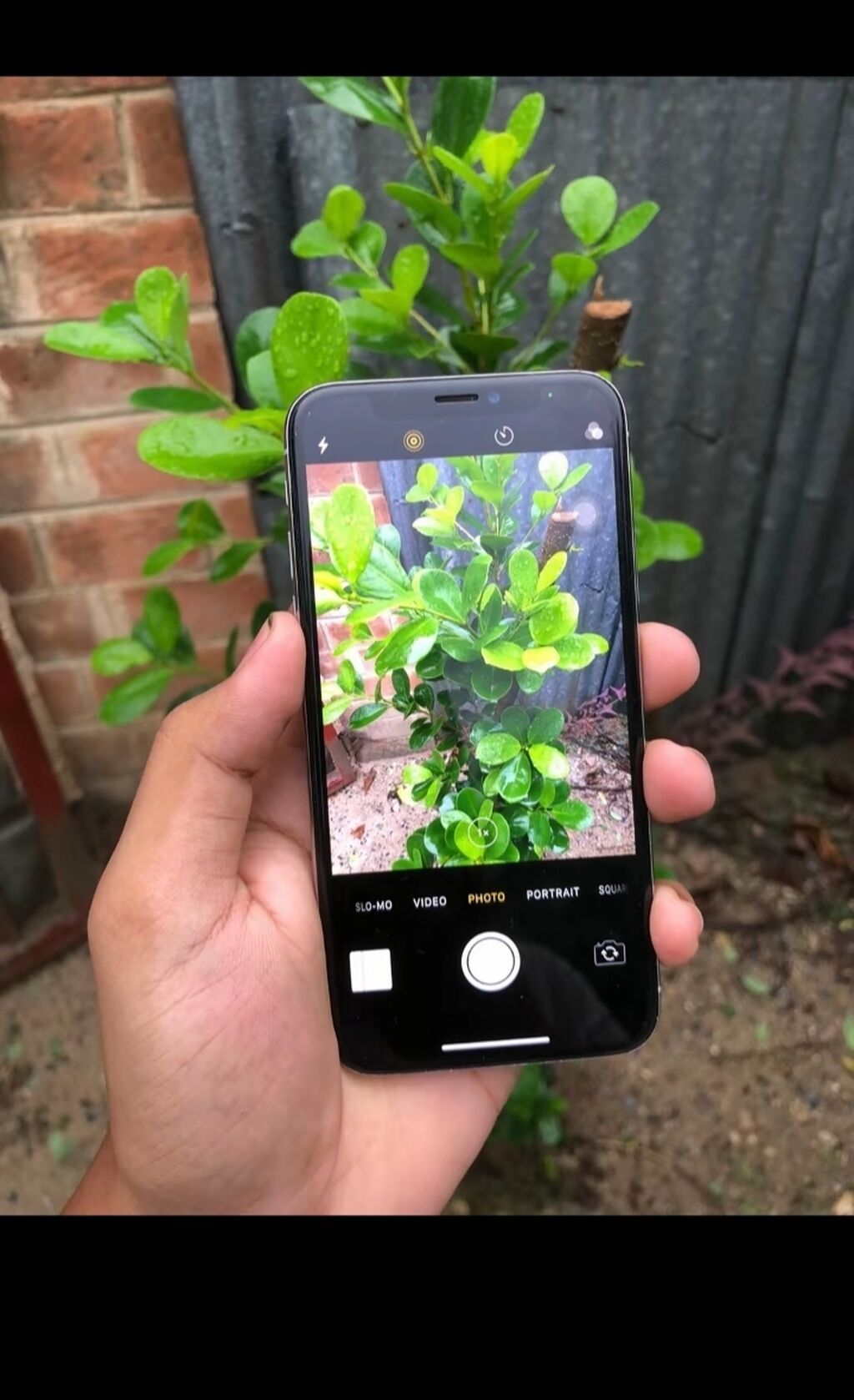 IPhone X, Gümüşü — Apple iPhone, Bakı (3)