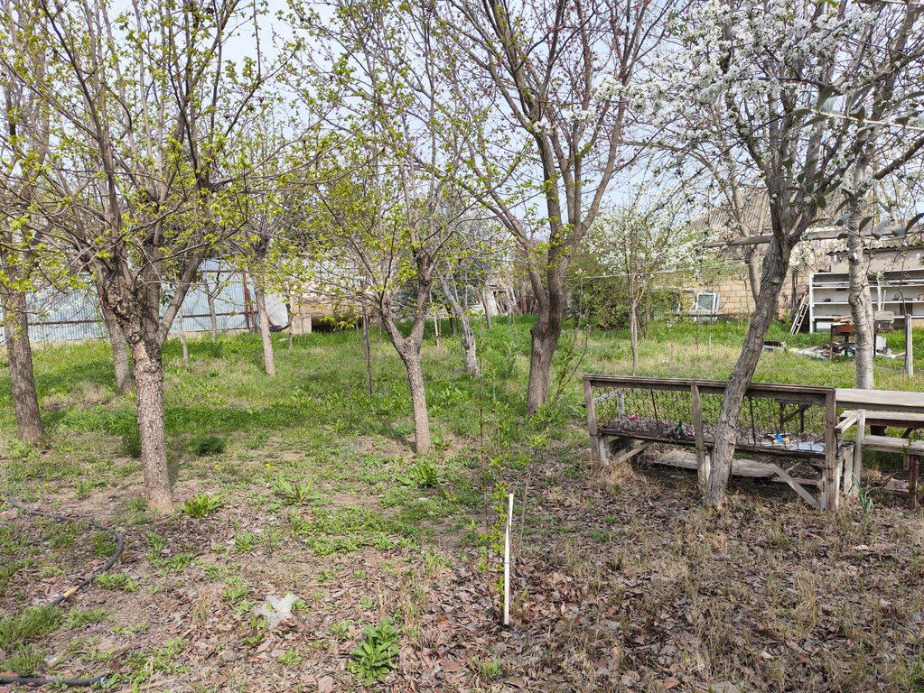 4 sot torpaq sahəsi, Masazır qəs — Torpaq, Bakı (3)