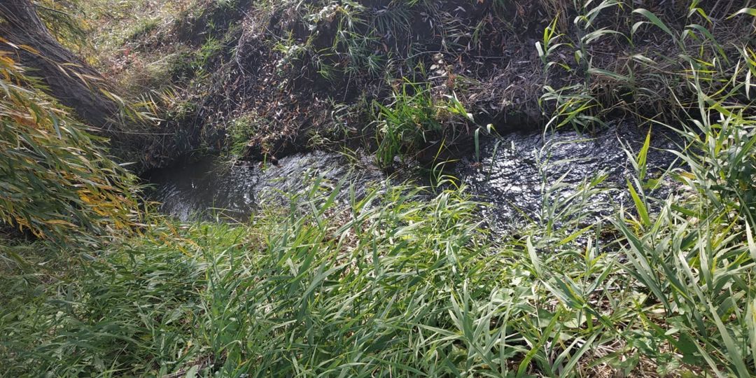 38 sot torpaq sahəsi, Xaçmaz r — Torpaq, Xaçmaz