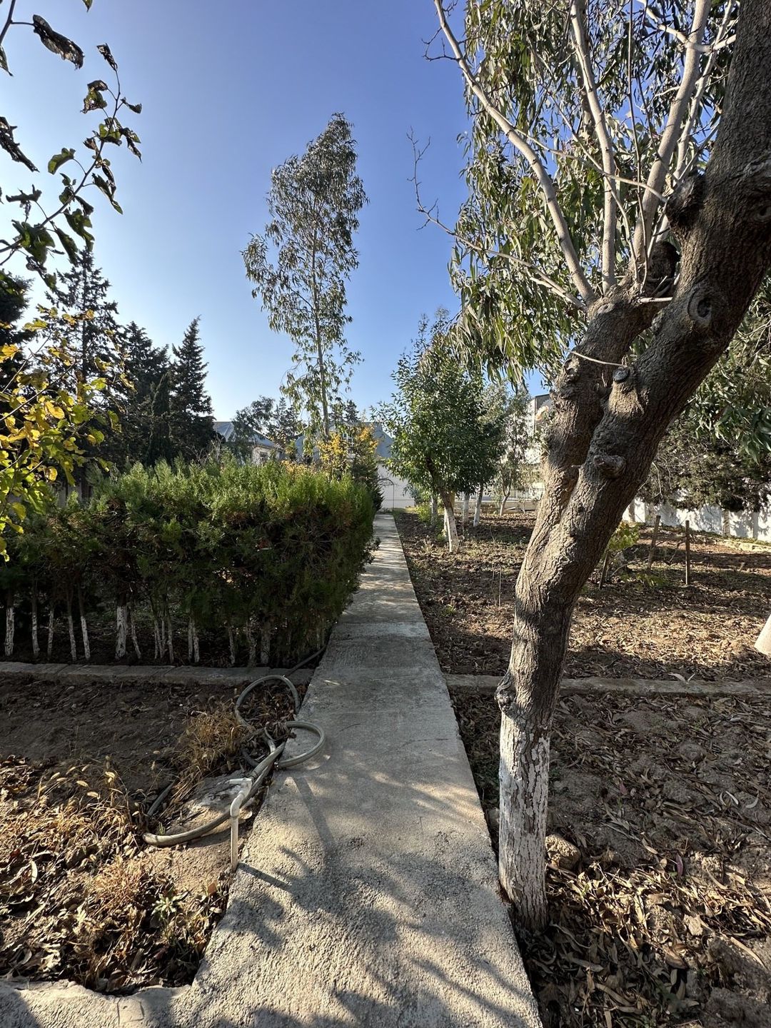 Satılır torpaq 12 sot — Torpaq, Bakı (2)