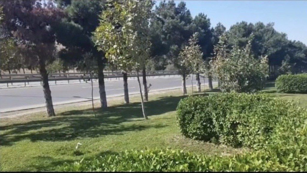 Satılır torpaq 280 sot — Torpaq, Bakı (8)