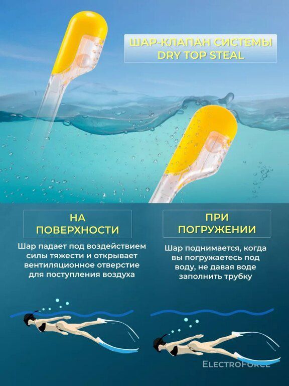 Snorkel — İdman, hobi, istirahət, Bakı (7)