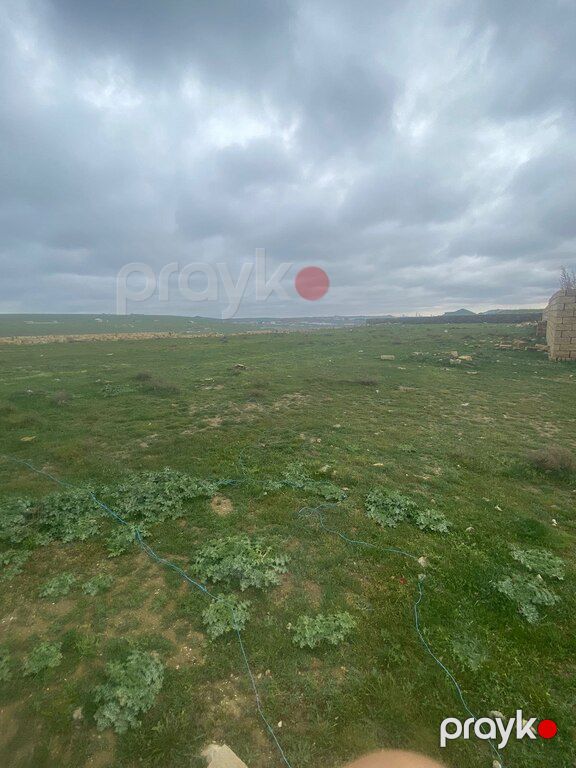 20 sot torpaq sahəsi, Novxanı qəs — Torpaq, Bakı (2)