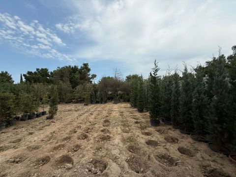15.3 sot torpaq sahəsi, Buzovna qəs — Bakı