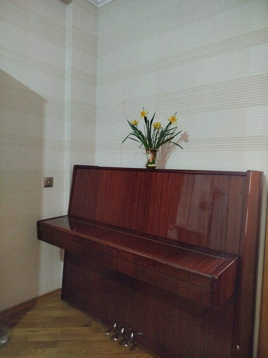 Piano "Belarus" — Musiqiə alətləri, Bakı (4)