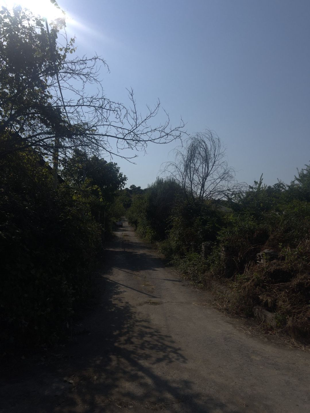 Satılır torpaq 20 sot — Torpaq, Quba (2)