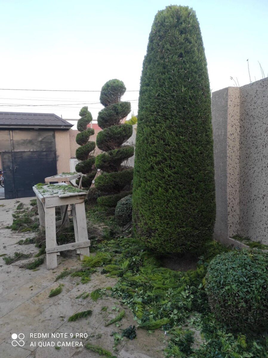 Bağban işi axtarıram — İş axtarıram, Bakı (7)