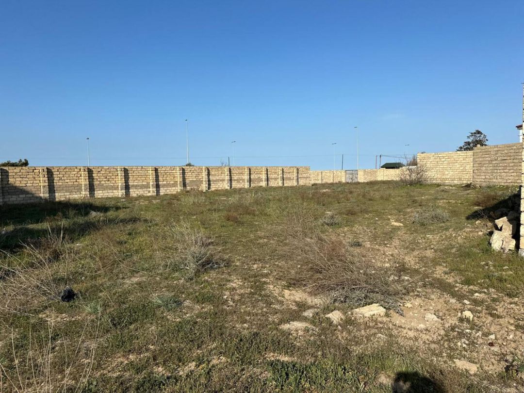 Satılır torpaq 31 sot — Torpaq, Bakı (4)