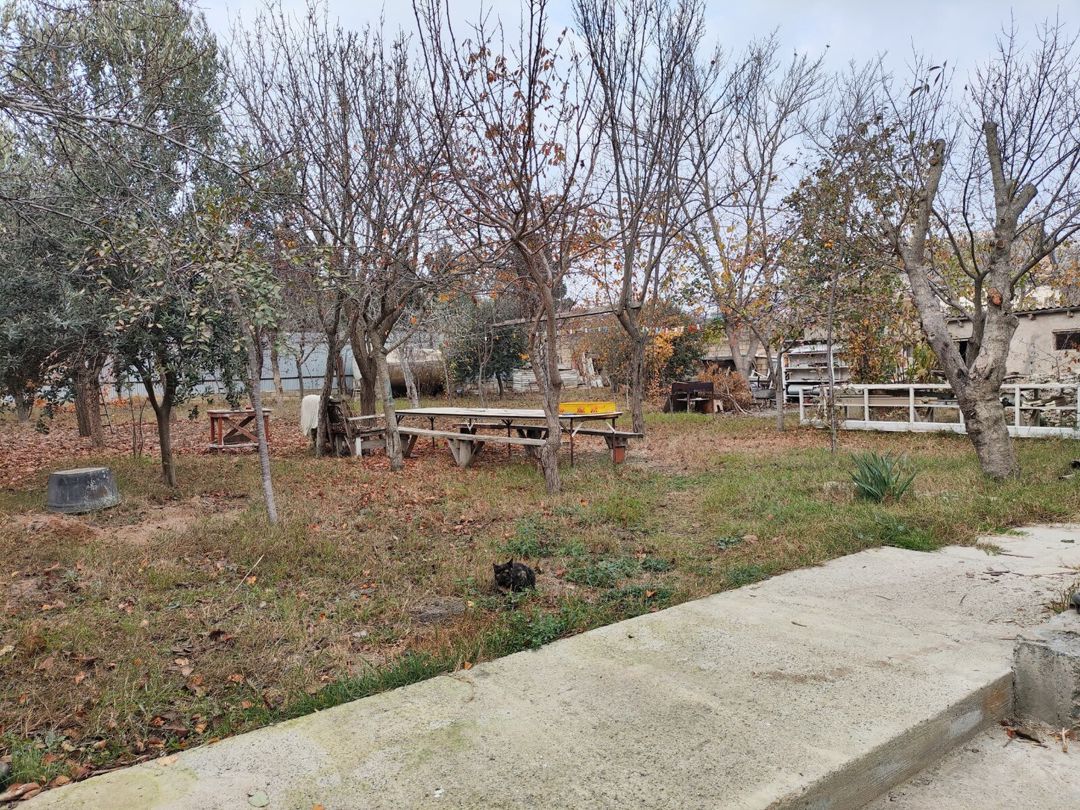 4 sot torpaq sahəsi, Masazır qəs — Torpaq, Bakı (2)