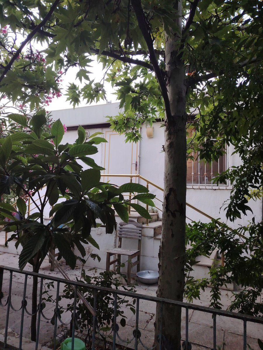 Satılır 3 otaqlı həyət evi/bağ evi 54 m² — Ev, villa, Bakı (7)