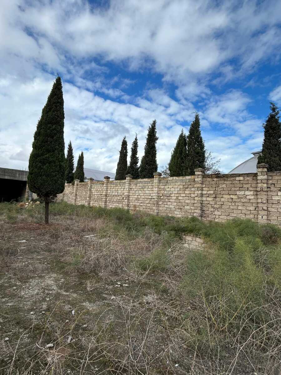 Satılır torpaq 22 sot — Torpaq, Bakı (3)