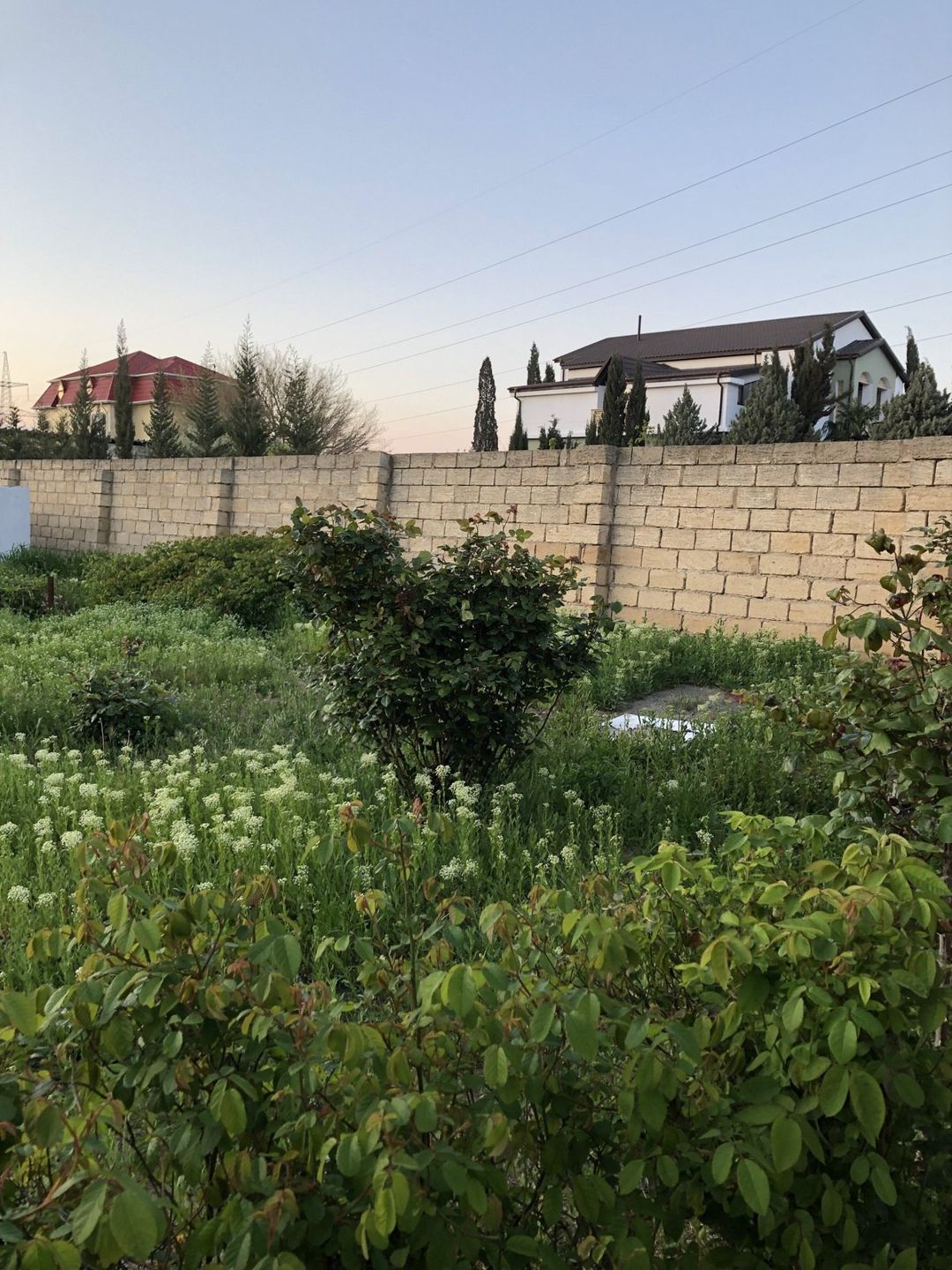 Satılır torpaq 5 sot — Torpaq, Bakı (10)