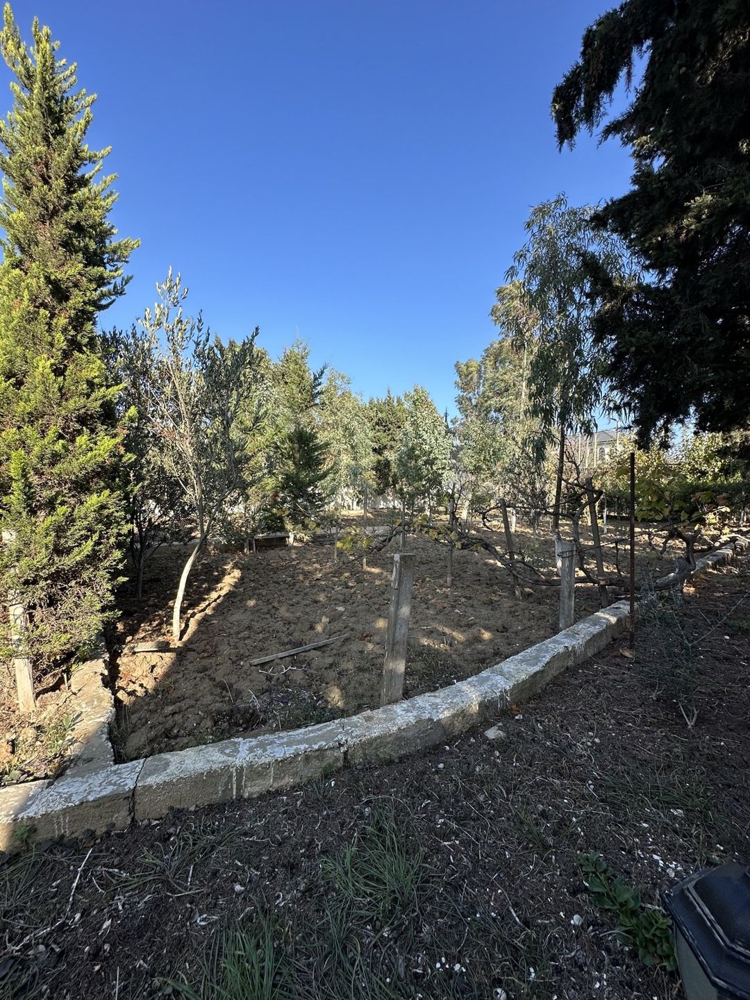 Satılır torpaq 12 sot — Torpaq, Bakı (3)