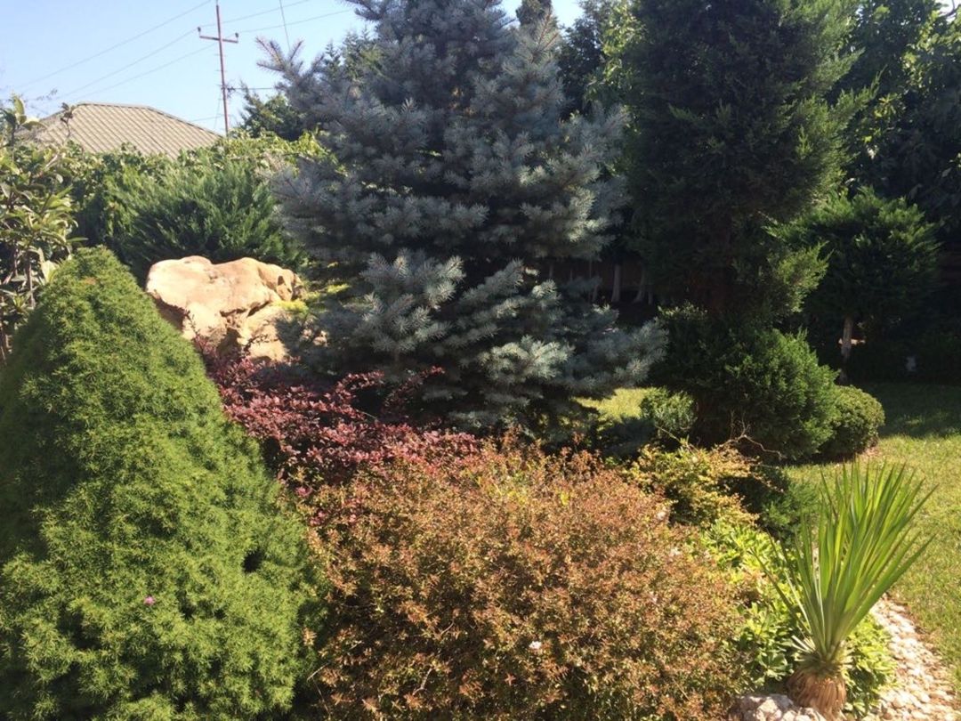 Satılır 6 otaqlı həyət evi/bağ evi 250 m² — Ev, villa, Bakı (11)