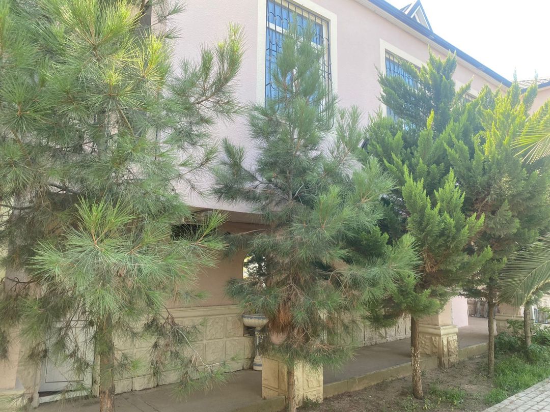 Satılır torpaq 60 sot — Torpaq, Bakı (5)