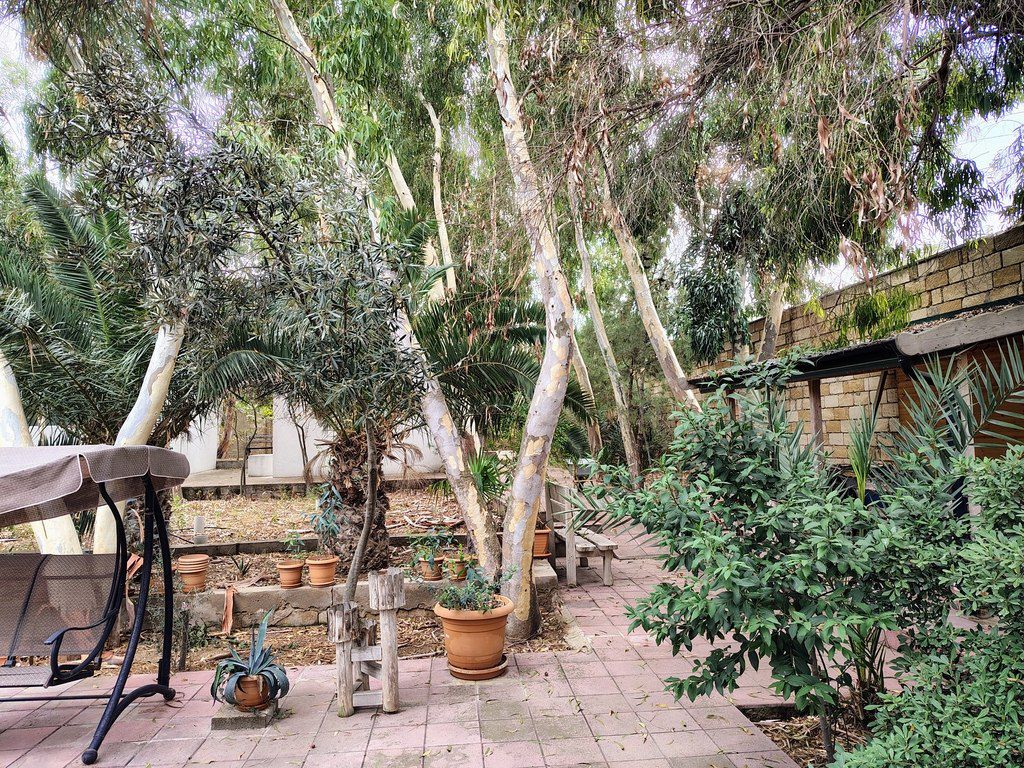Satılır torpaq 44 sot — Torpaq, Bakı (5)