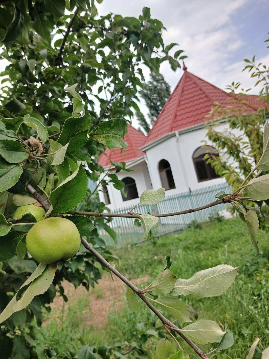 Bağ evi kirayə verilir, Rustov kəndi — Ev, villa, Quba (10)
