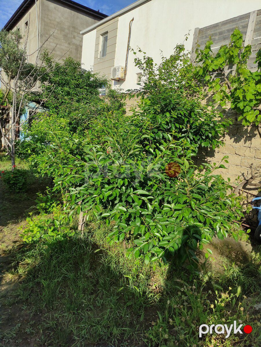 9 sot torpaq sahəsi, Mərdəkan qəs — Torpaq, Bakı (6)
