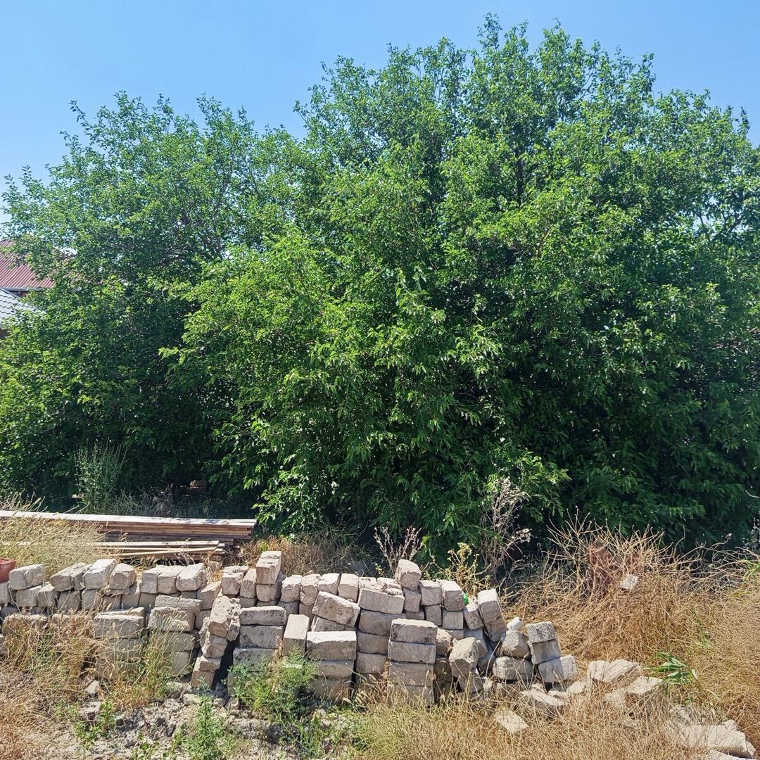 5 sot torpaq sahəsi, Əmircan qəs — Torpaq, Bakı (4)
