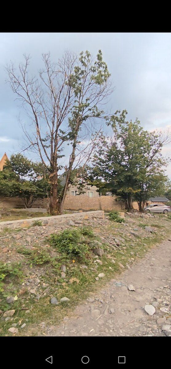 3.44 sot torpaq sahəsi, Qəbələ r — Torpaq, Qəbələ (6)