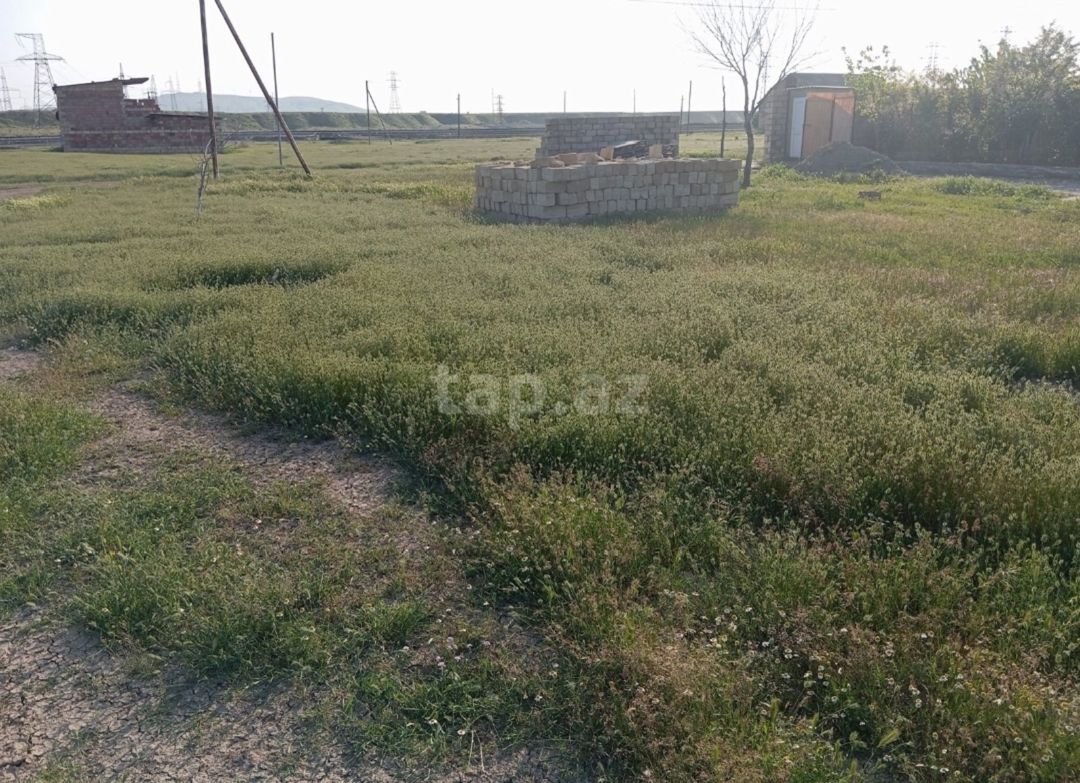 3 sot torpaq sahəsi, Şirvan ş — Torpaq, Şirvan (4)