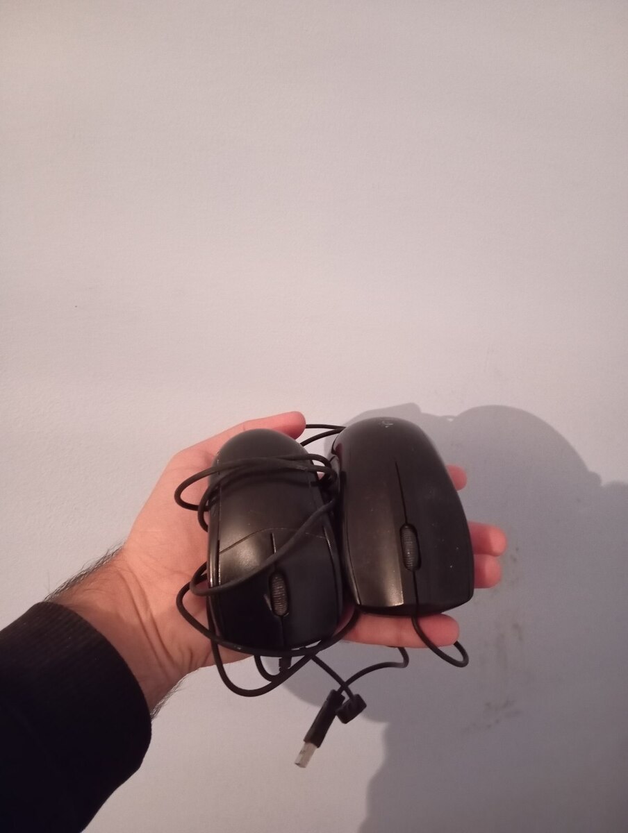 Siçanlar — Elektronika, Bakı (2)