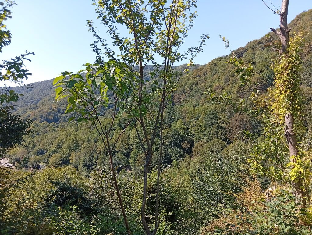 90 kv. m, 2 otaqlı, Hovuzsuz — Ev, villa, İsmayıllı (9)
